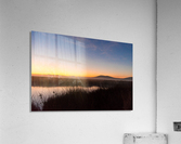 20200110 DSC 0144 Acrylic Print