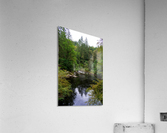 20190918 DSC 0293 Acrylic Print