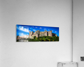 20190917 DSC 0129 Acrylic Print