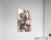 20200226 DSC 0031 Acrylic Print