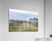 20200118 DSC 0111 Acrylic Print