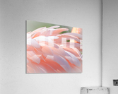 20201004 DSC 0234 Acrylic Print