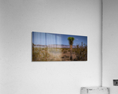 Windmill Farm Acrylic Print