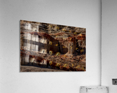 Cool in Red Rock Canyon Acrylic Print