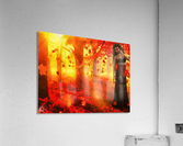Wandering in the Fall Acrylic Print
