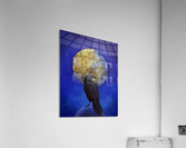 Raven Shine Acrylic Print