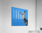 Dusty  Acrylic Print