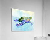 Southern Passage Acrylic Print