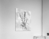 Lavender Simple Gray Botanical Flower On Watercolor Marble  Acrylic Print