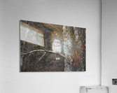 Sleepy Owl Acrylic Print