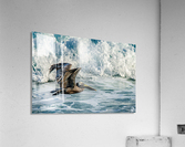 Surfing Pelican  Acrylic Print