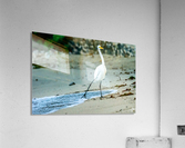 Its Cold  Acrylic Print