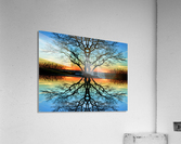 Assawoman Reflections at Ocean City Acrylic Print