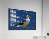 Seagull Iconic Beach Bird Acrylic Print