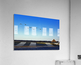 Canada Geese at Northside Park Acrylic Print