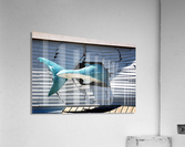 Shark Tail on the Ocean City Boardwalk Acrylic Print