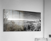 Ocean City Marsh and Pier Panorama in Black and White Acrylic Print