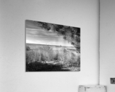 Northside Park Pier and Marsh in Black and White Acrylic Print