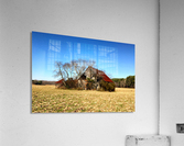 Abandoned Farmhouse and Barn in Williamsville DE Acrylic Print
