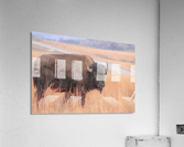 Hitchhiker Acrylic Print