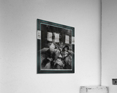 Lady Smith and her Children by Engraver Francesco Bartolozzi Fine Art Old Masters Reproduction Acrylic Print