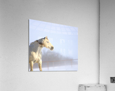 Snow White Impression acrylique