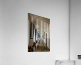 The Walk  Acrylic Print