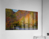 Swallowed by Fall Colors Acrylic Print