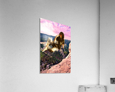 Outdoor relaxing Acrylic Print