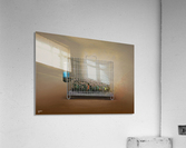Just a bit Acrylic Print