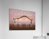 Separation Acrylic Print