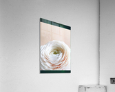 Flower Acrylic Print