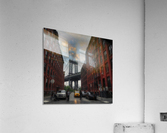 Dumbo   Acrylic Print