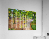 A Walk In The Park  Acrylic Print