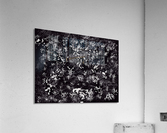 Abstract Acrylic Print