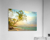Punta Cana Beach    Acrylic Print