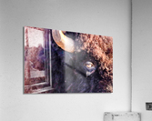 And In His Eyes Were Rays Of A Sun From Another Time AKA The Old Man Acrylic Print