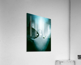 He Seemed So Nice at First Acrylic Print