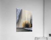 baie d automne Acrylic Print