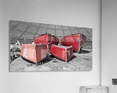 Red Dorries Acrylic Print