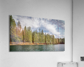 Trees of Lake Britton Acrylic Print