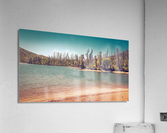 Too Much Whiskey Acrylic Print