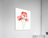 Graceful Beauty Botanical Watercolor Three Red Poppies Flowers II Acrylic Print