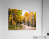 Solace Acrylic Print