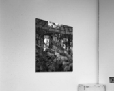 The Hypnotist Acrylic Print