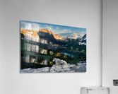 Life on the precipice Acrylic Print