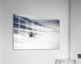 Solitude  Acrylic Print