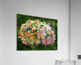 Flower Basket Acrylic Print