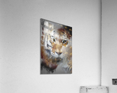 Tigre  Acrylic Print
