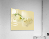 CalaLilly Acrylic Print